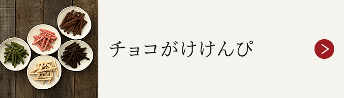 チョコがけけんぴ