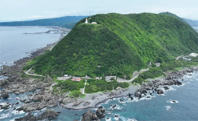 いもやのお中元2025 - 心を込めて贈る夏のいもやのご挨拶 -│芋屋金次郎