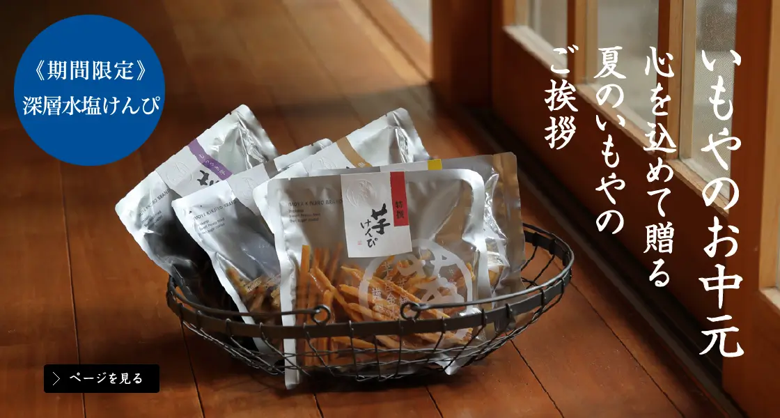 深層水塩けんぴ入りギフトお中元