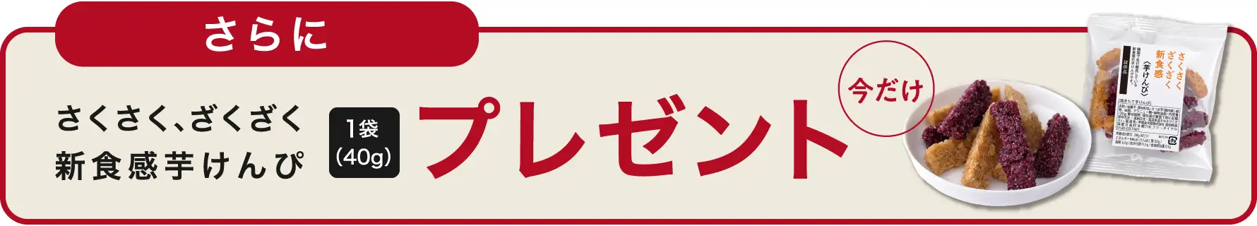さらに今だけプレゼント
