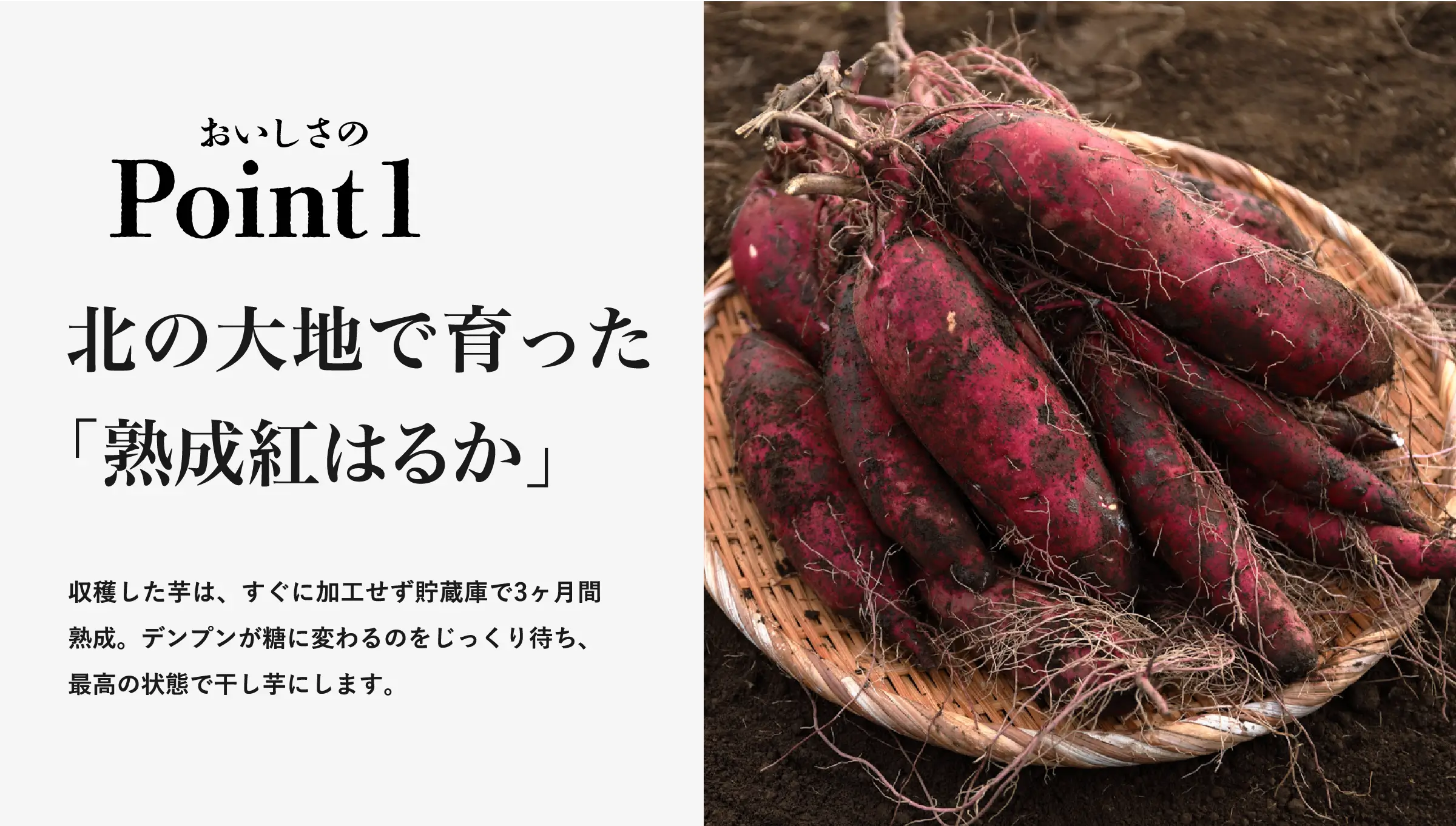 Point1 北の大地で育った「熟成紅はるか」