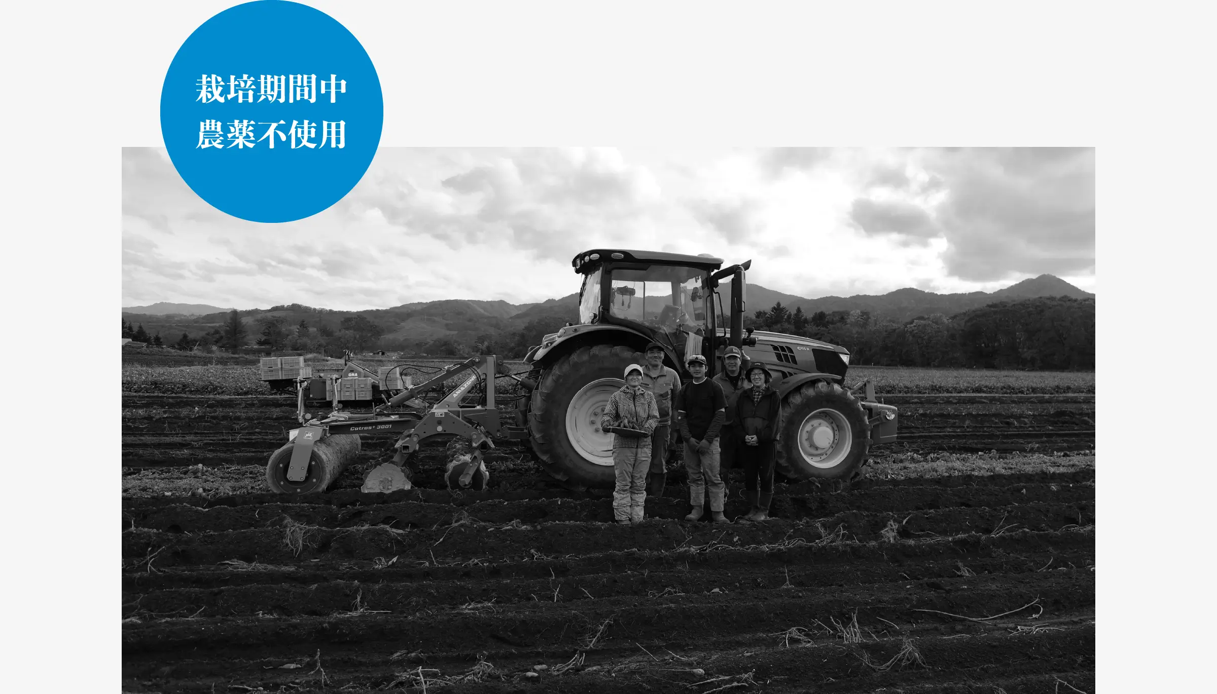 栽培期間中農薬不使用